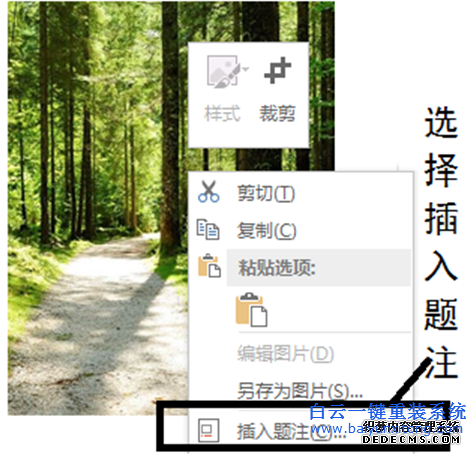 GHOST,系統,下,Word2013,巧,讓,圖片,自動,步驟