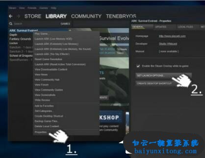 win10生存進(jìn)化出現(xiàn)“視頻驅(qū)動(dòng)程序崩潰并重置”怎步驟