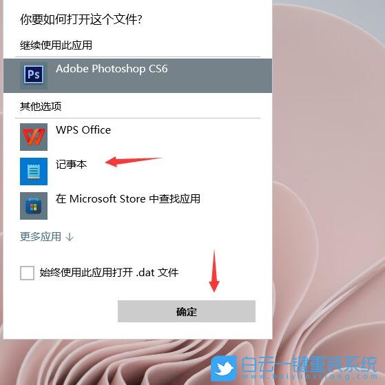 DAT文件,Win11,dat文件怎么打開步驟