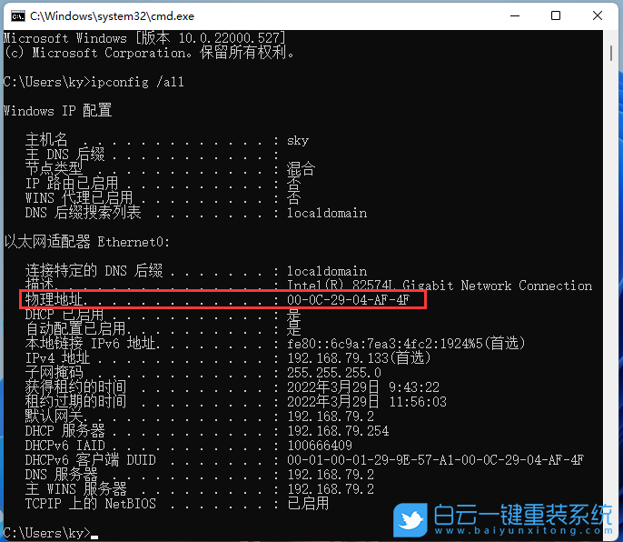 Win11,mac地址怎么查,MAC地址,mac地址查詢步驟