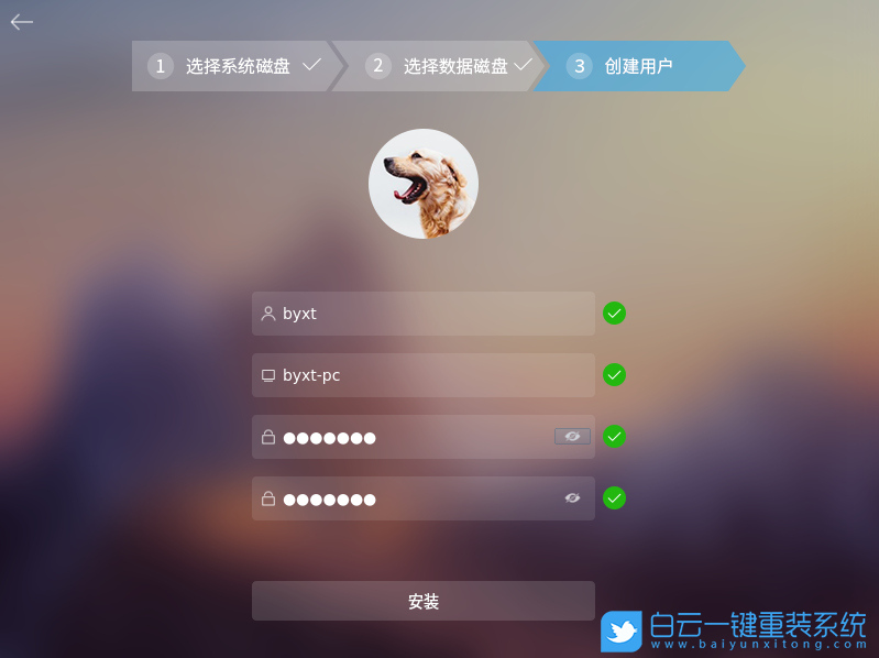 中興新支點(diǎn),NewStartOS,國(guó)產(chǎn)系統(tǒng)步驟