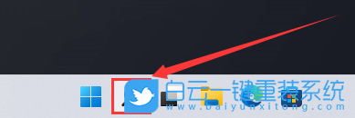 Win11,顯卡驅(qū)動(dòng),顯卡,驅(qū)動(dòng)步驟
