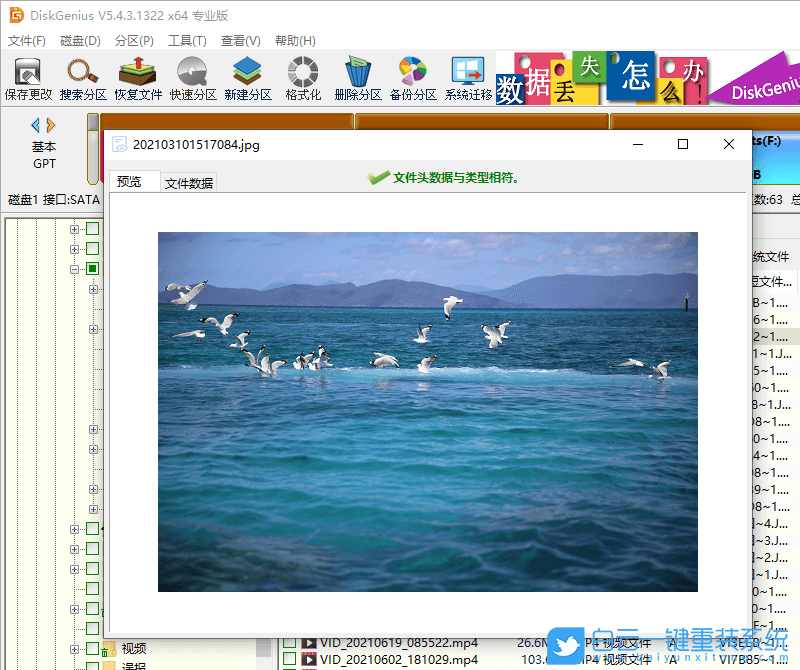 Win11,數據恢復,電腦數據步驟