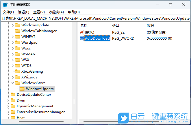 Win11,注冊表,Microsoft,Store,應用更新步驟